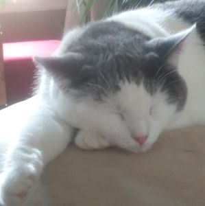 Meet your Posher, KatMom J